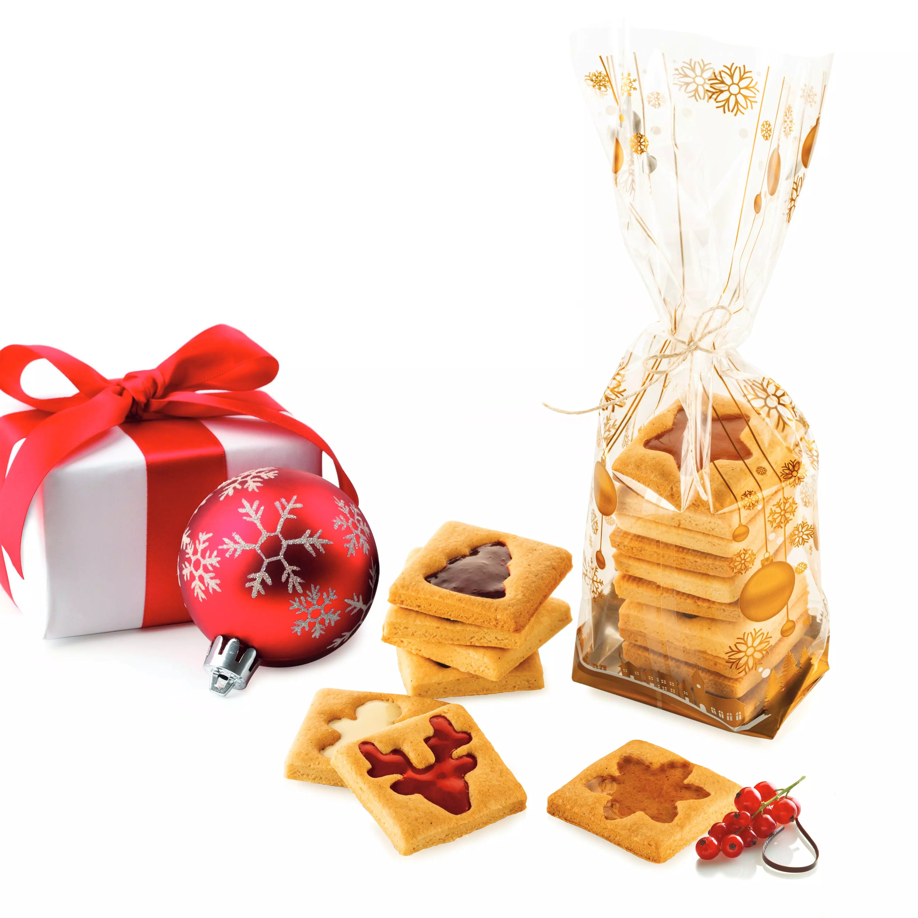 Kit “Voilà Cookie – Winter Holiday” : sachets + moule biscuits 240×150 mm (H 20 mm)